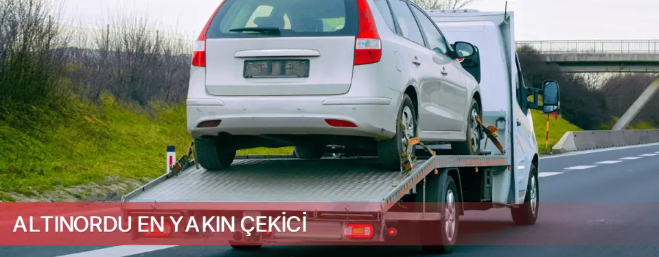 Altınordu İlçemi En Yakın Çekici